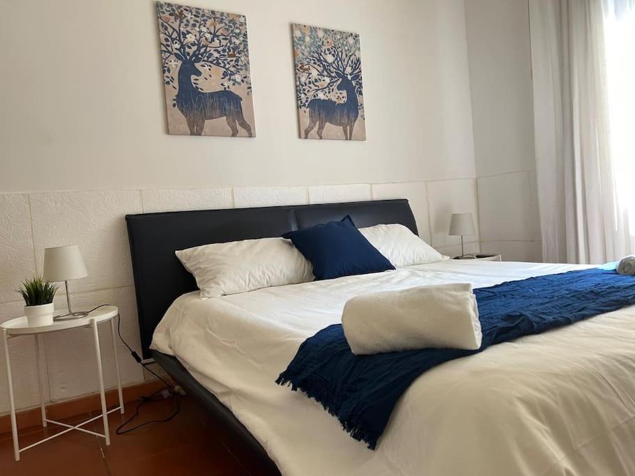 Appartamento Cavalieri Modena Ngoại thất bức ảnh