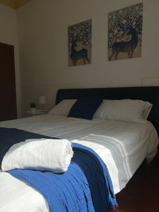 Appartamento Cavalieri Modena Ngoại thất bức ảnh